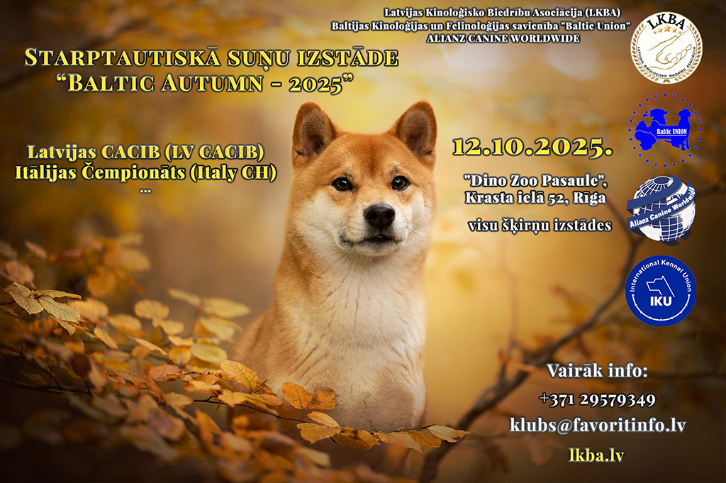12_10_25-2fb.jpg