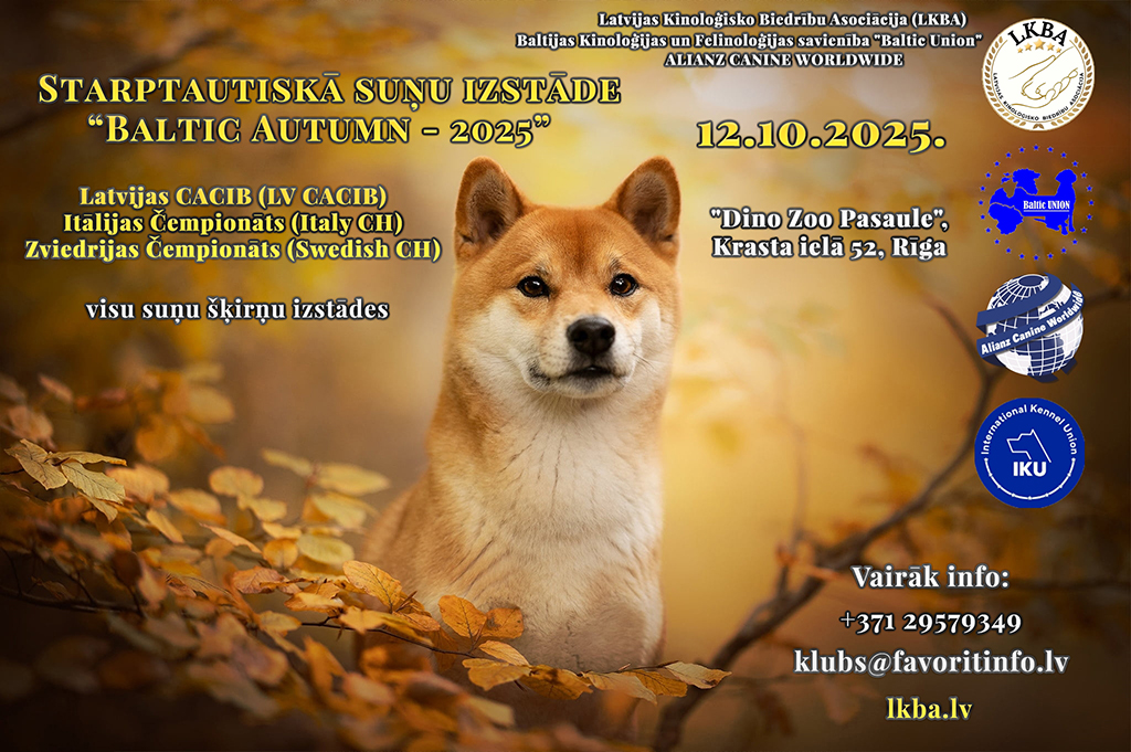 12_10_25-3fb.jpg
