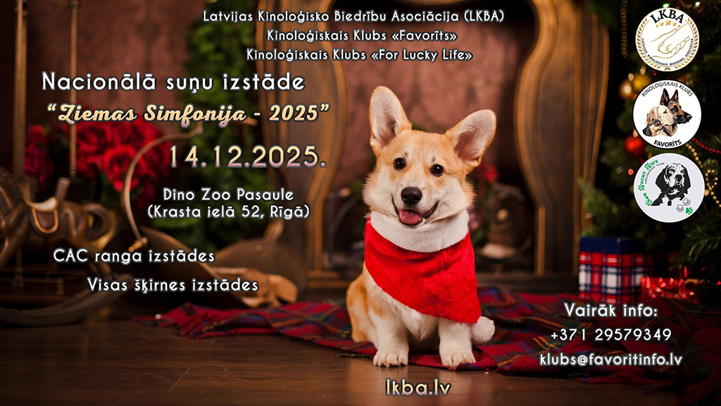 14_12_25_2lv_fb.jpg